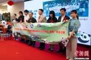 五行分析中国彩绘熊猫艺术国际巡展东京站开幕
