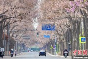 五行分析共建“花园城市” 北京这场议政会“百花齐放”