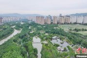 五行分析西宁市举办六五环境日主题宣传活动